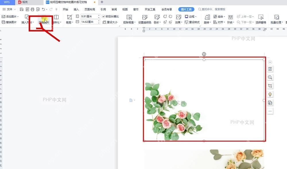 WPS 文字图片工具中压缩图片按钮的位置