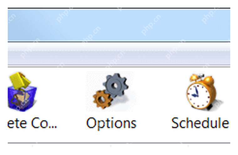 IDM Windows 主窗口工具栏 Options 按钮,对应进入配置窗口。