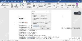 Word显示标记设置窗口