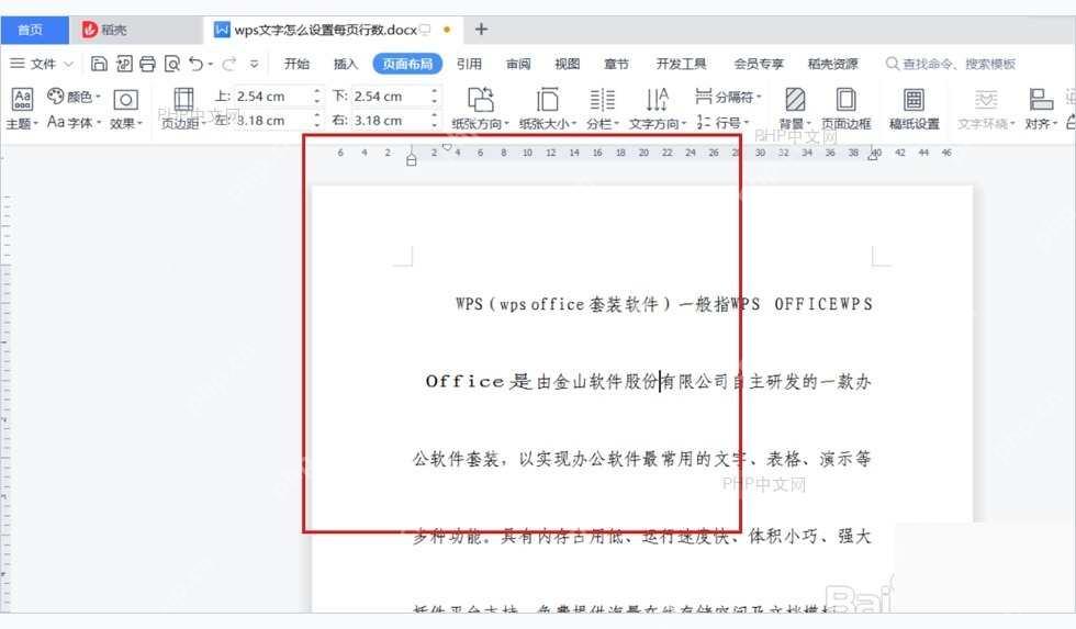 WPS 文档页面视图中的排版结果，用于检查标题、正文和页面边距