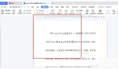WPS 文档页面视图中的排版结果，用于检查标题、正文和页面边距