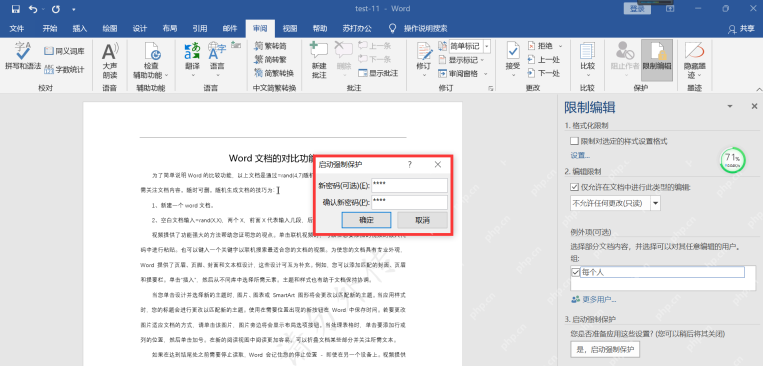 Word 启动强制保护窗口,能看到新密码和确认新密码输入框
