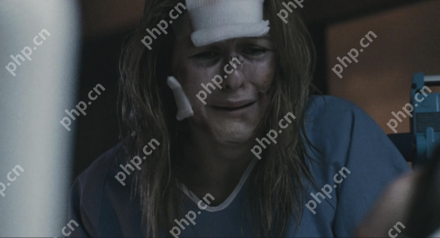 好看的恐怖片排行榜2025 美国恐怖片排行榜前十名汇总 - php中文网