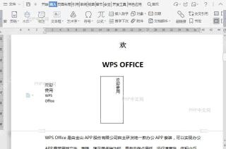 WPS如何在文档中插入多行文字类型的文本框?