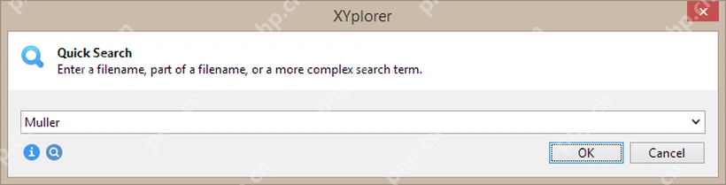 XYplorer Quick Search 输入文件名片段。
