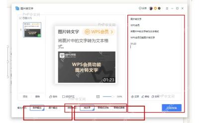 WPS图片转文字窗口底部输出方式和转换类型选项