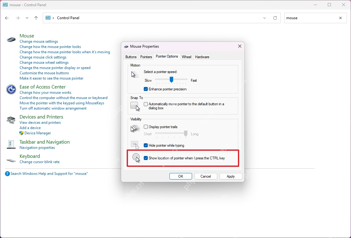 win11鼠标指针不见了怎么办_win11鼠标指针显示恢复指南 - php中文网