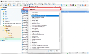 XYplorer 中文菜单栏和左侧文件夹树。