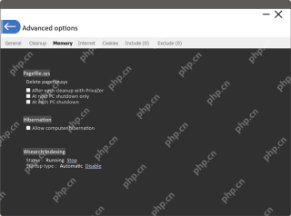 PrivaZer Memory 设置页中 pagefile.sys 选项