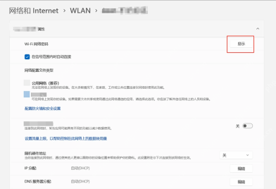 Win11 WLAN属性页点击显示查看WiFi安全密钥
