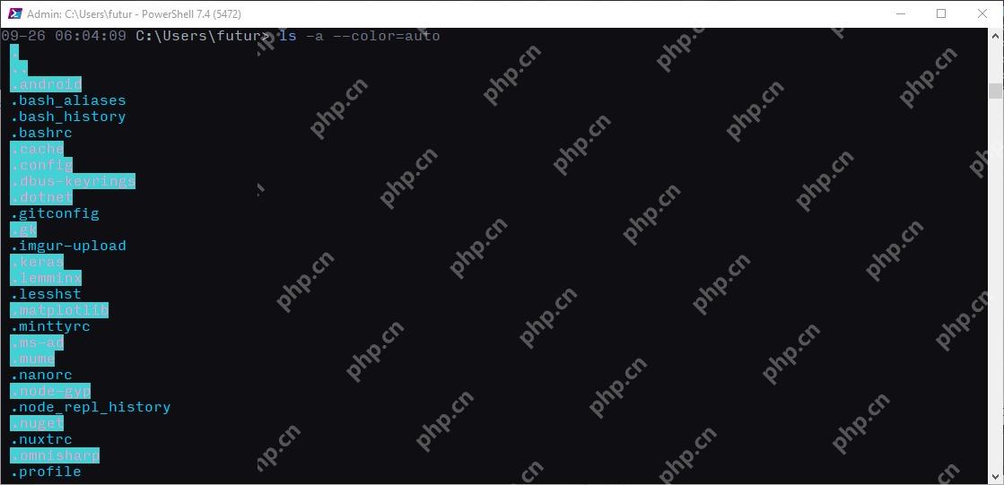 PowerShell 通过 WSL 互操作输出 Linux 命令结果