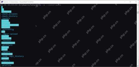 PowerShell 通过 WSL 互操作输出 Linux 命令结果