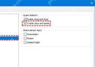 VMware Workstation Guest Isolation 页面勾选 Enable copy and paste