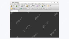 用Adobe Acrobat精细修改PDF:启动Adobe Acrobat