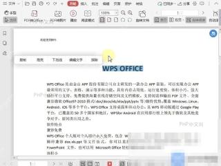 PDF如何文档中插入下划线？入口位置