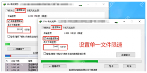 中文 IDM 下载进度窗口显示单个文件限速设置。