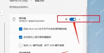 Win11 鼠标键页面打开用数字小键盘移动鼠标指针