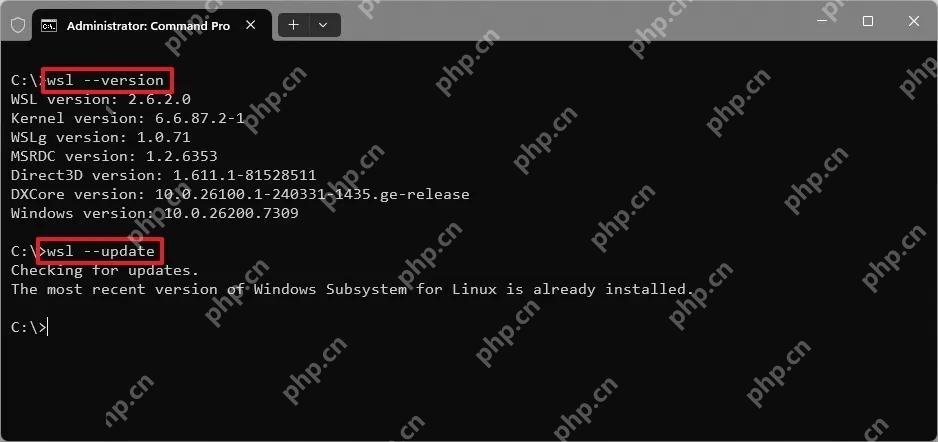 Windows 命令提示符显示 wsl version 和 Kernel Version