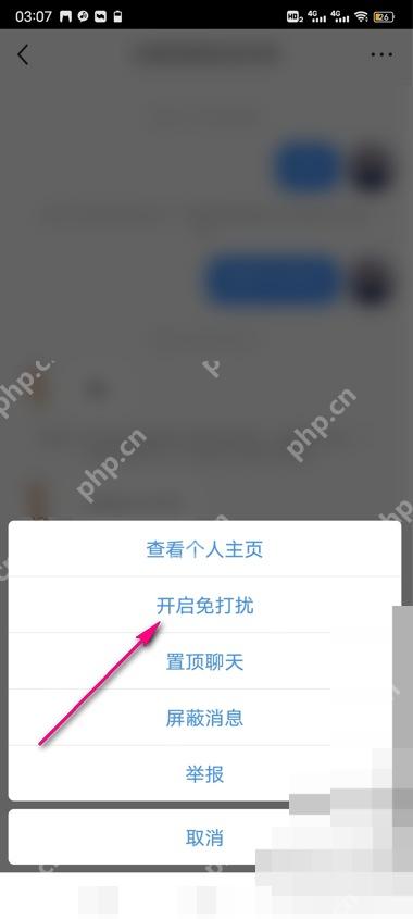 小红书聊天会话菜单开启免打扰选项,用于设置聊天静音