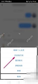 小红书聊天会话菜单开启免打扰选项,用于设置聊天静音