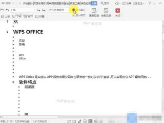Word在文档大纲视图中显示每个项的首行？设置效果