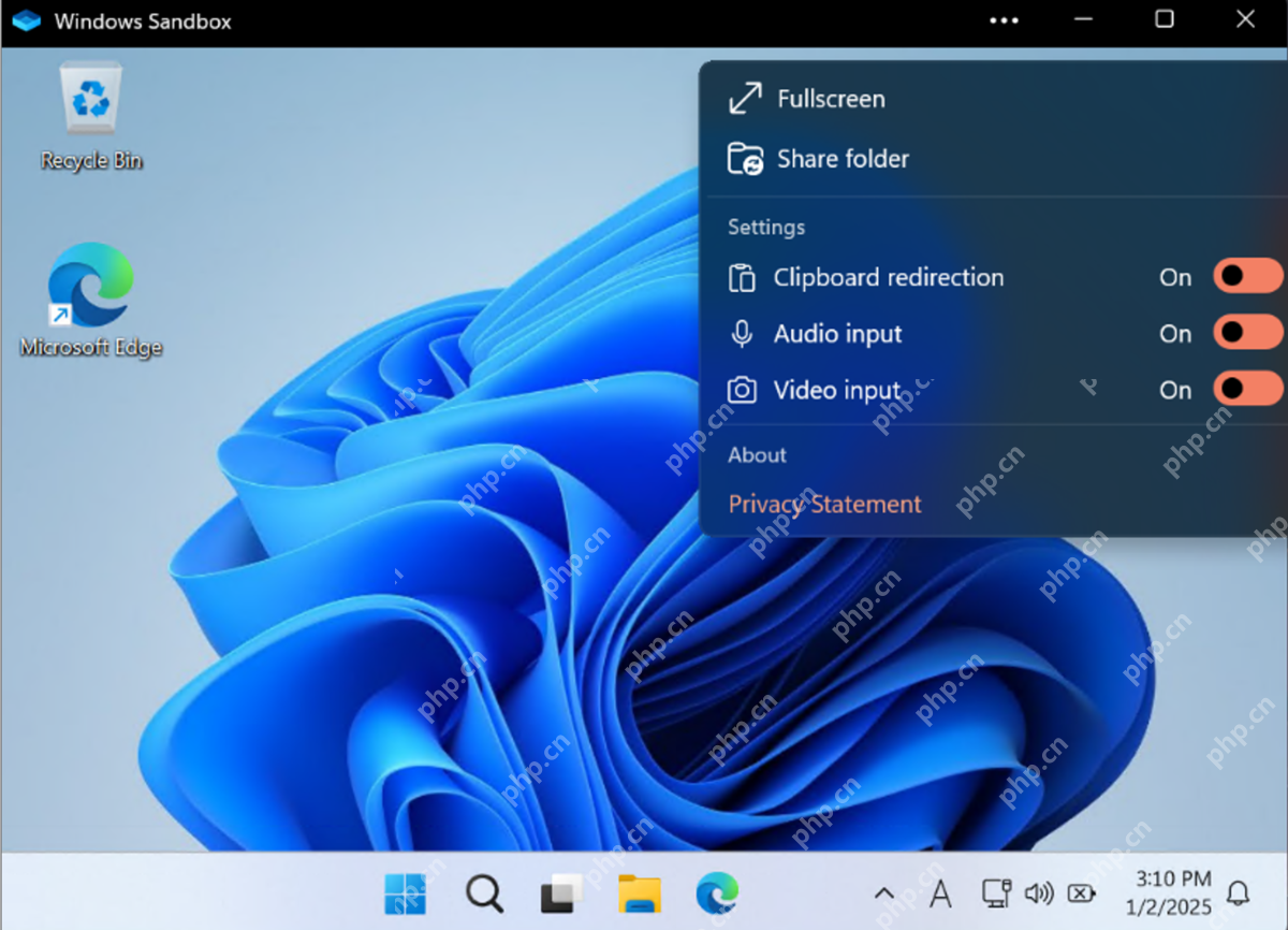 Windows 11 沙盒窗口菜单中 Clipboard redirection 为 On
