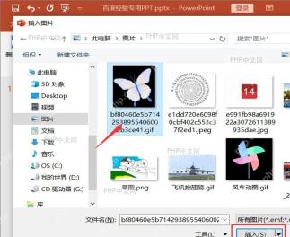 PowerPoint 的插入图片窗口中已选中新图片并准备点击插入