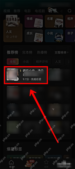 红果小说听书榜单候选作品