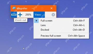 Windows 10 放大镜 Views 视图菜单