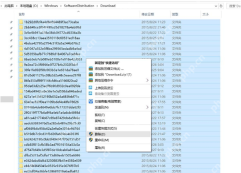 在 Download 目录中全选旧更新缓存并执行删除