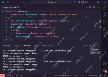 Windows PowerShell 使用 Read-Host 接收输入并设置默认值