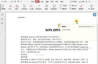 如何在PDF文档中插入注解?结果检查
