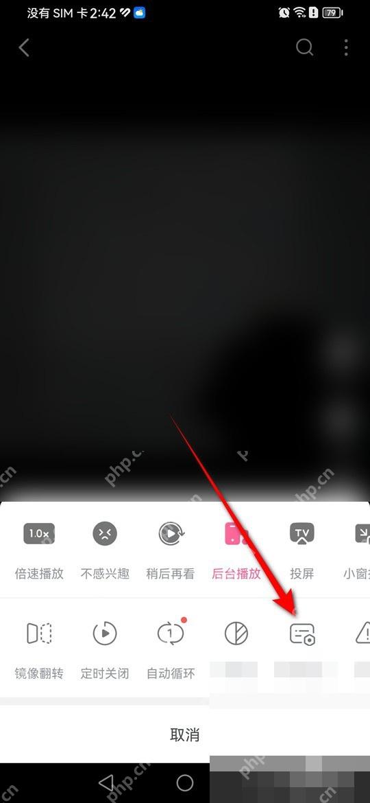 哔哩哔哩菜单面板里的弹幕设置入口