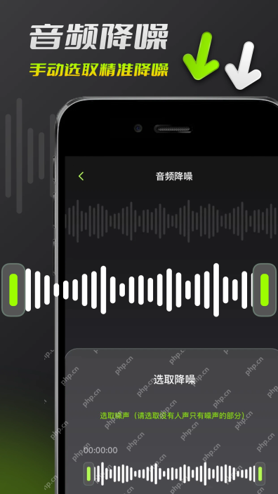 音频剪辑App的智能降噪中文界面