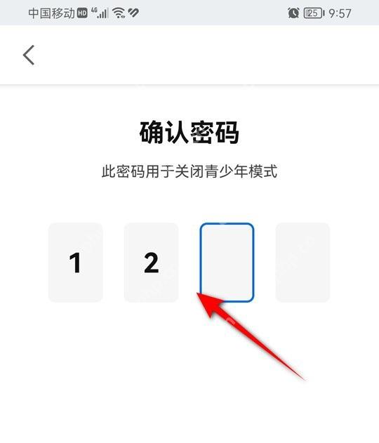 知乎确认密码页面里的四位密码输入框