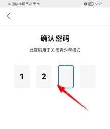 知乎确认密码页面里的四位密码输入框