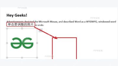 Word 文档中选中图片并出现图片控制点