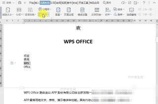Word如何添加行号时禁用于当前行号?中间操作