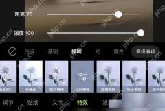 醒图模糊效果参数调节