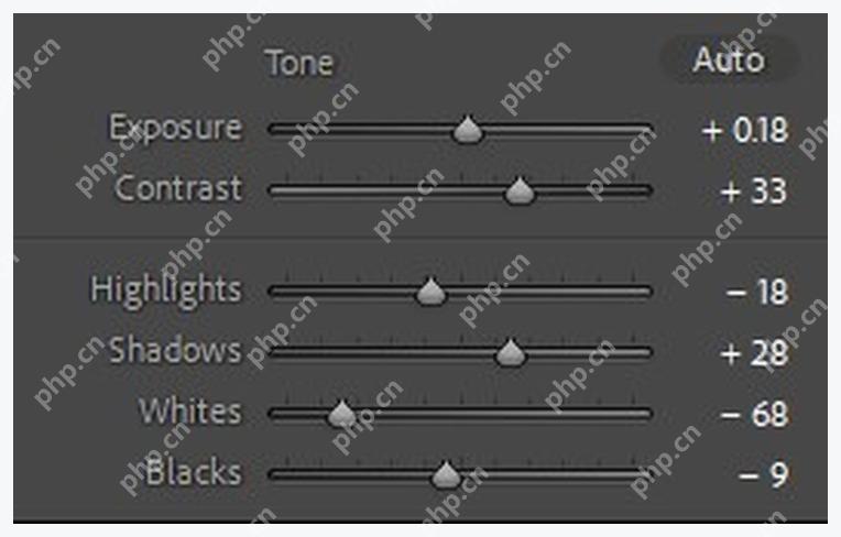 Lightroom Classic Tone 设置中曝光、对比度和高光阴影参数