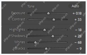 Lightroom Classic Tone 设置中曝光、对比度和高光阴影参数