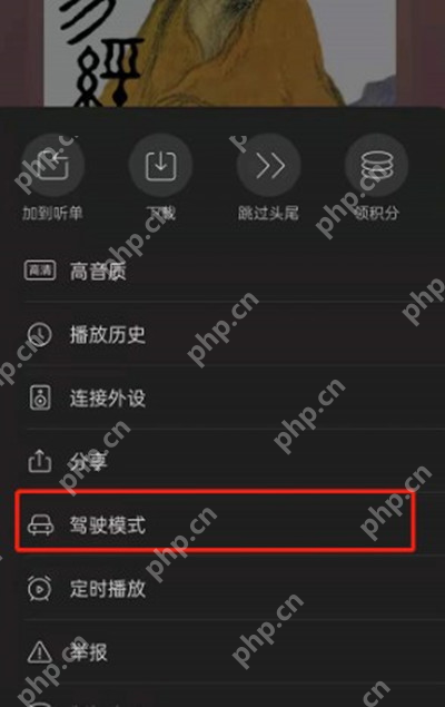 喜马拉雅手机端选择驾驶模式:更多面板中的驾驶模式