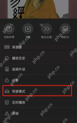喜马拉雅手机端选择驾驶模式:更多面板中的驾驶模式