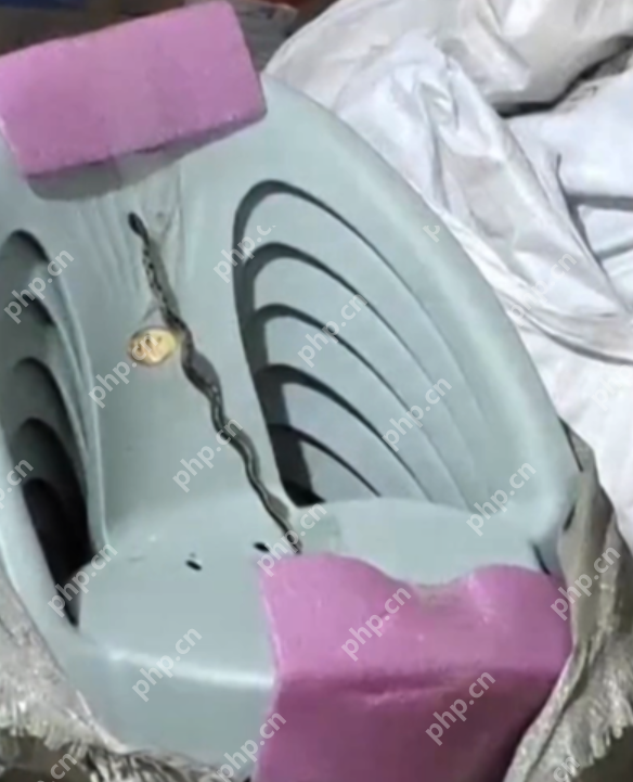 昆明一女子网购拆出活蛇!商家仅退款了事…… - php中文网