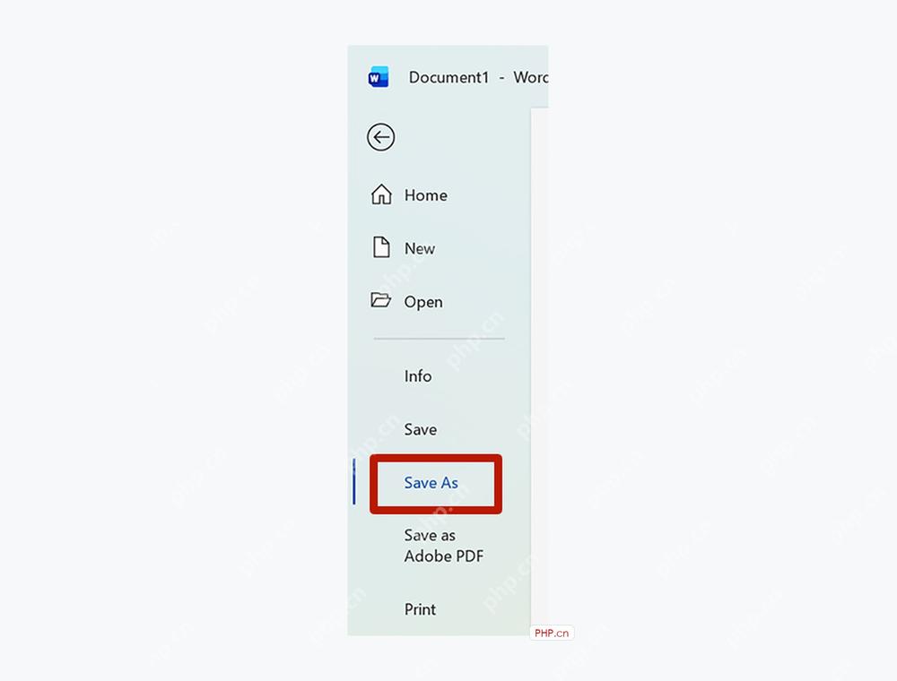 Microsoft Word 文件菜单中选择 Save As 入口,用于打开另存为流程