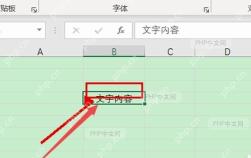 Excel 工作表中选中含有文字内容的单元格,准备设置竖排文字
