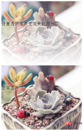 1612315236428425.png css 怎麼設定透明度漸層