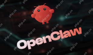 OpenClaw部署指南：如何连接方舟CodingPlan作为AI引擎 - php中文网
