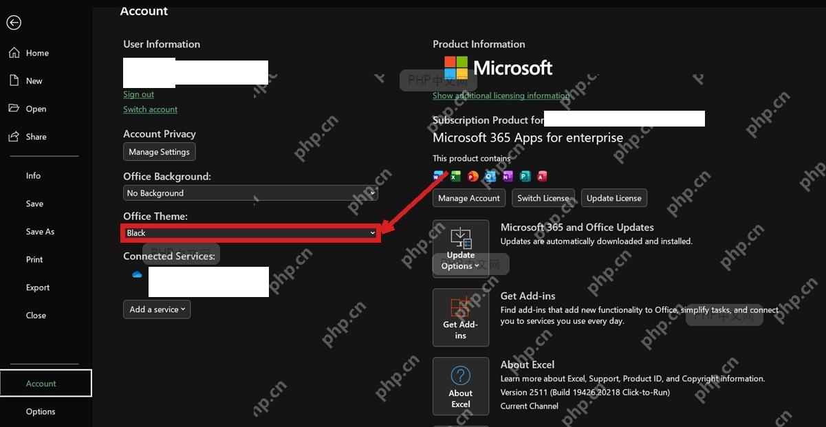 Excel 账户页中的 Office Theme 下拉框,用于把主题切到 Black 或 Dark Gray