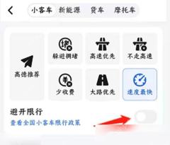高德地图避开限行设置